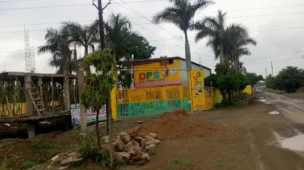 Delhi Public Play Primary School Damoh